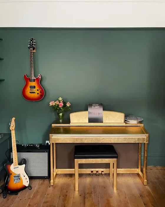 Little Greene Ho Ho Green 305 wall paint