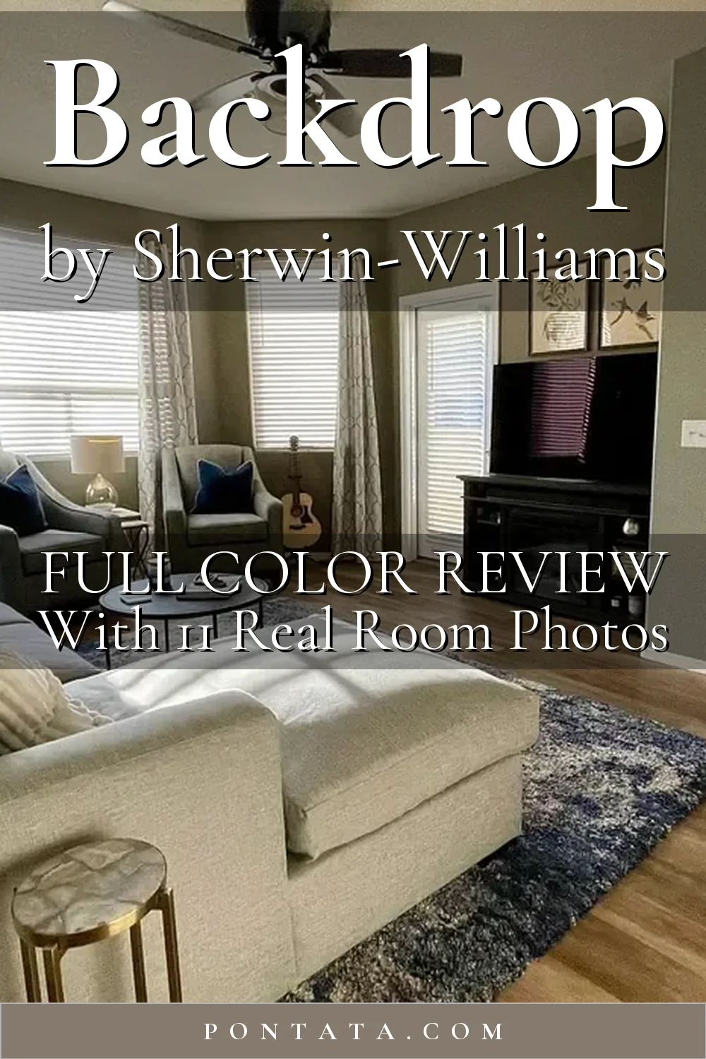 Sherwin-Williams Backdrop 7025 Paint Review: 11 Photos + Data