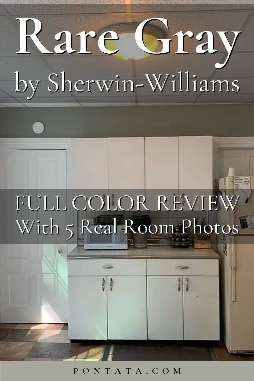 Rare Greay Rare Gray 6199 (Sherwin-Williams) — See it in 5 Real Homes