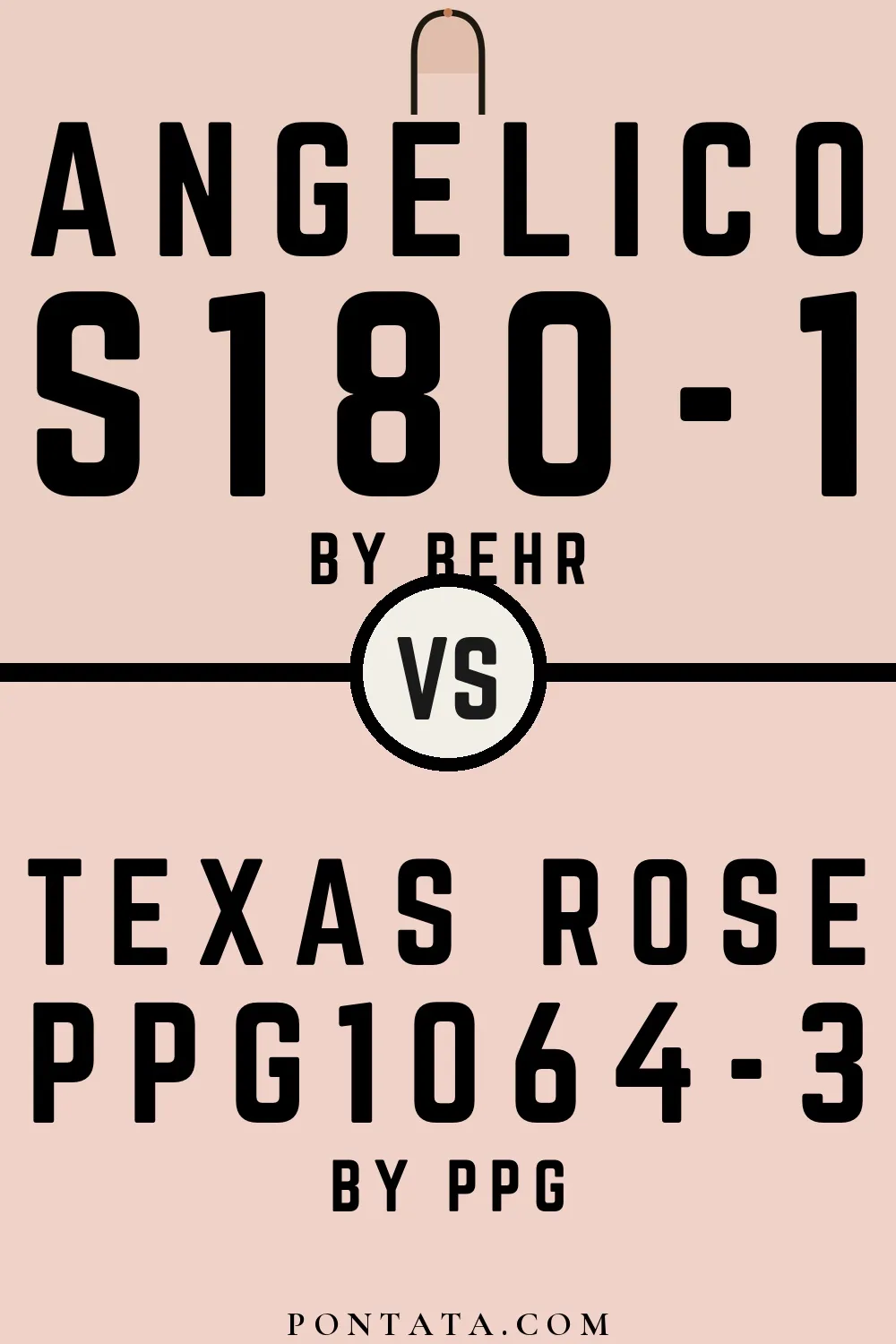 Angelico vs Texas Rose