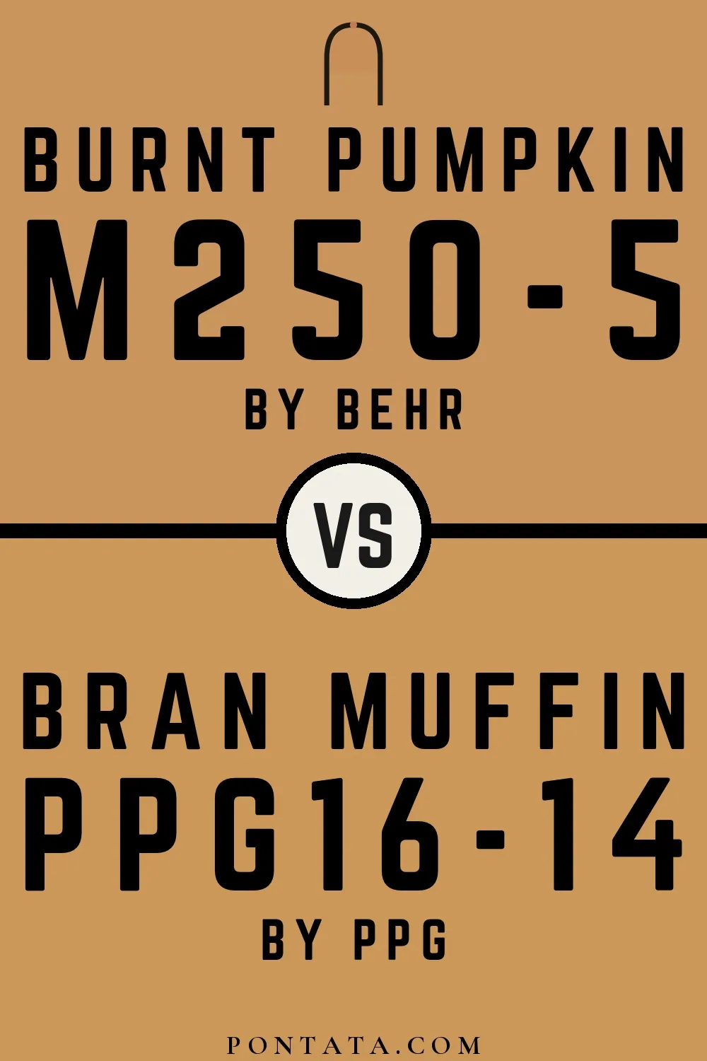 Burnt Pumpkin vs Bran Muffin