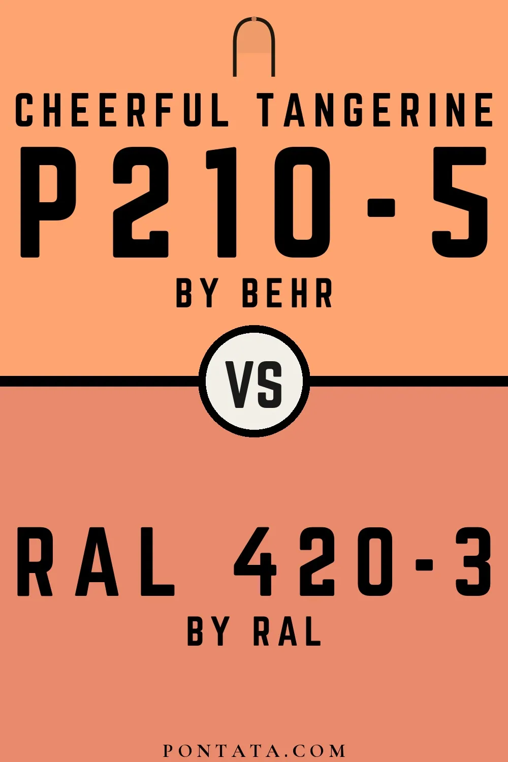 Cheerful Tangerine vs RAL 420-3