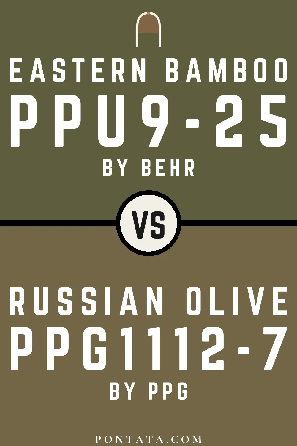 Eastern Bamboo vs Russian Olive