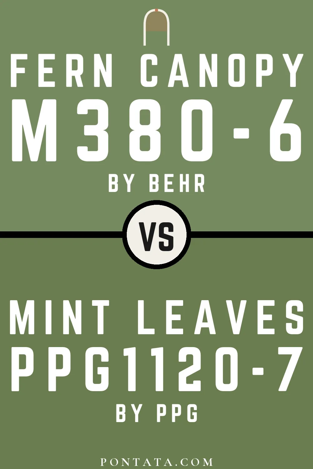 Fern Canopy vs Mint Leaves