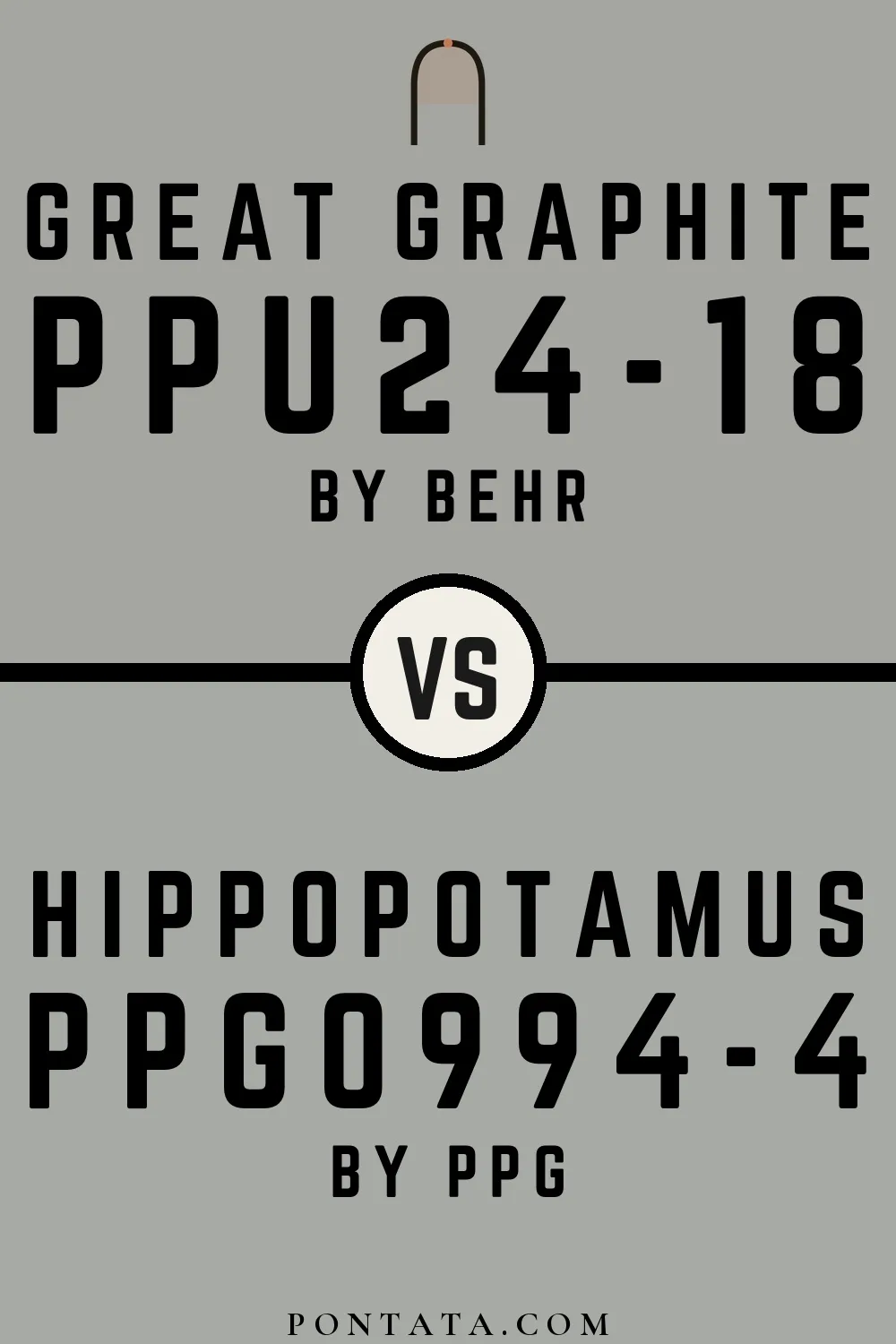 Great Graphite vs Hippopotamus