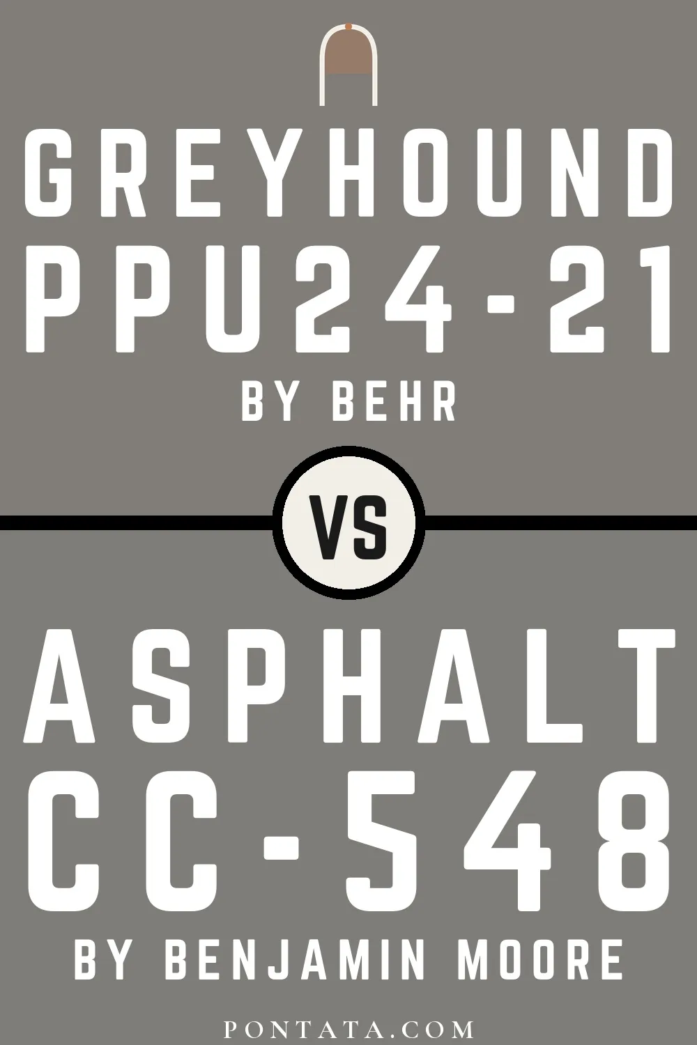 Greyhound vs Asphalt
