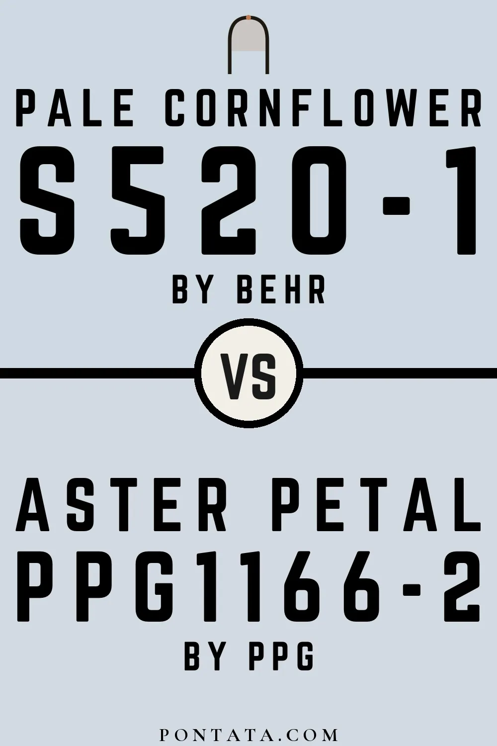 Pale Cornflower vs Aster Petal
