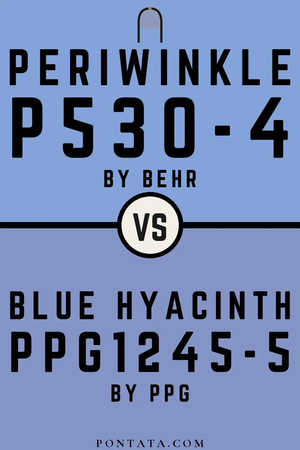 Periwinkle vs Blue Hyacinth