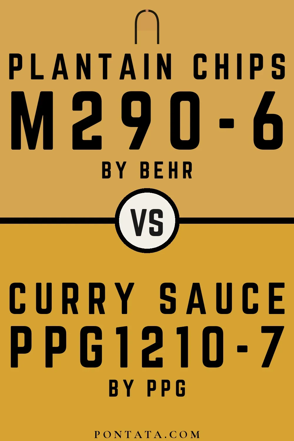 Plantain Chips vs Curry Sauce