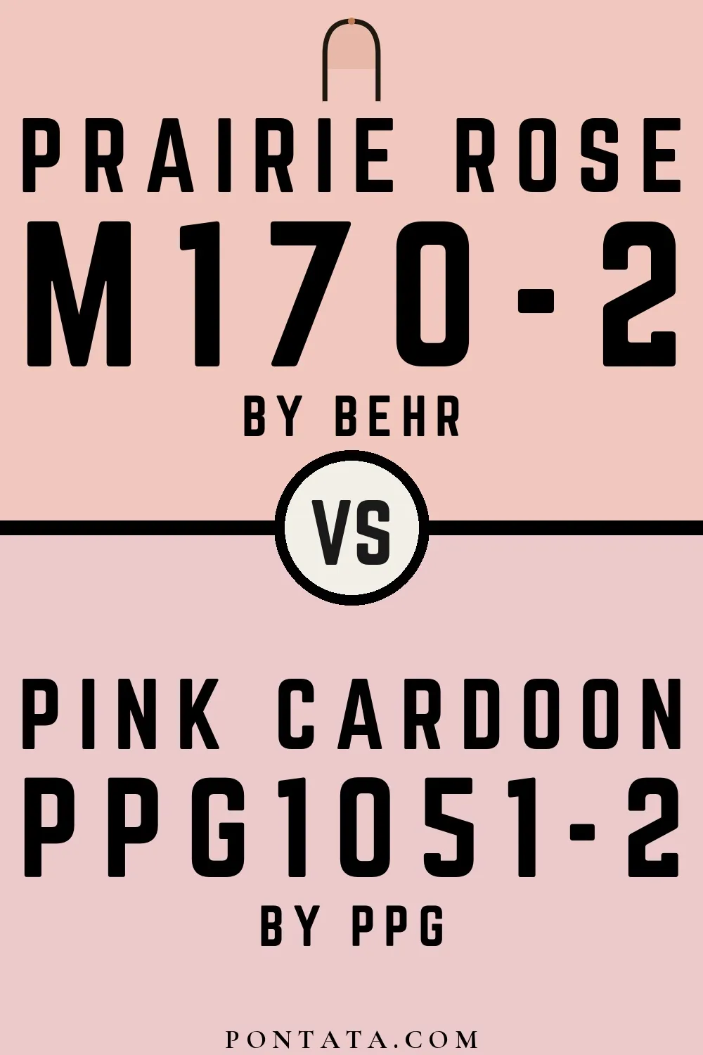 Prairie Rose vs Pink Cardoon