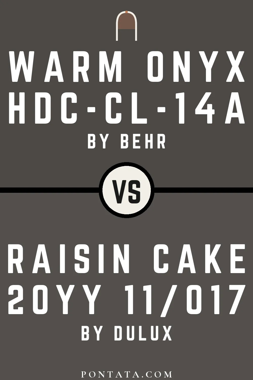 Warm Onyx vs Raisin Cake