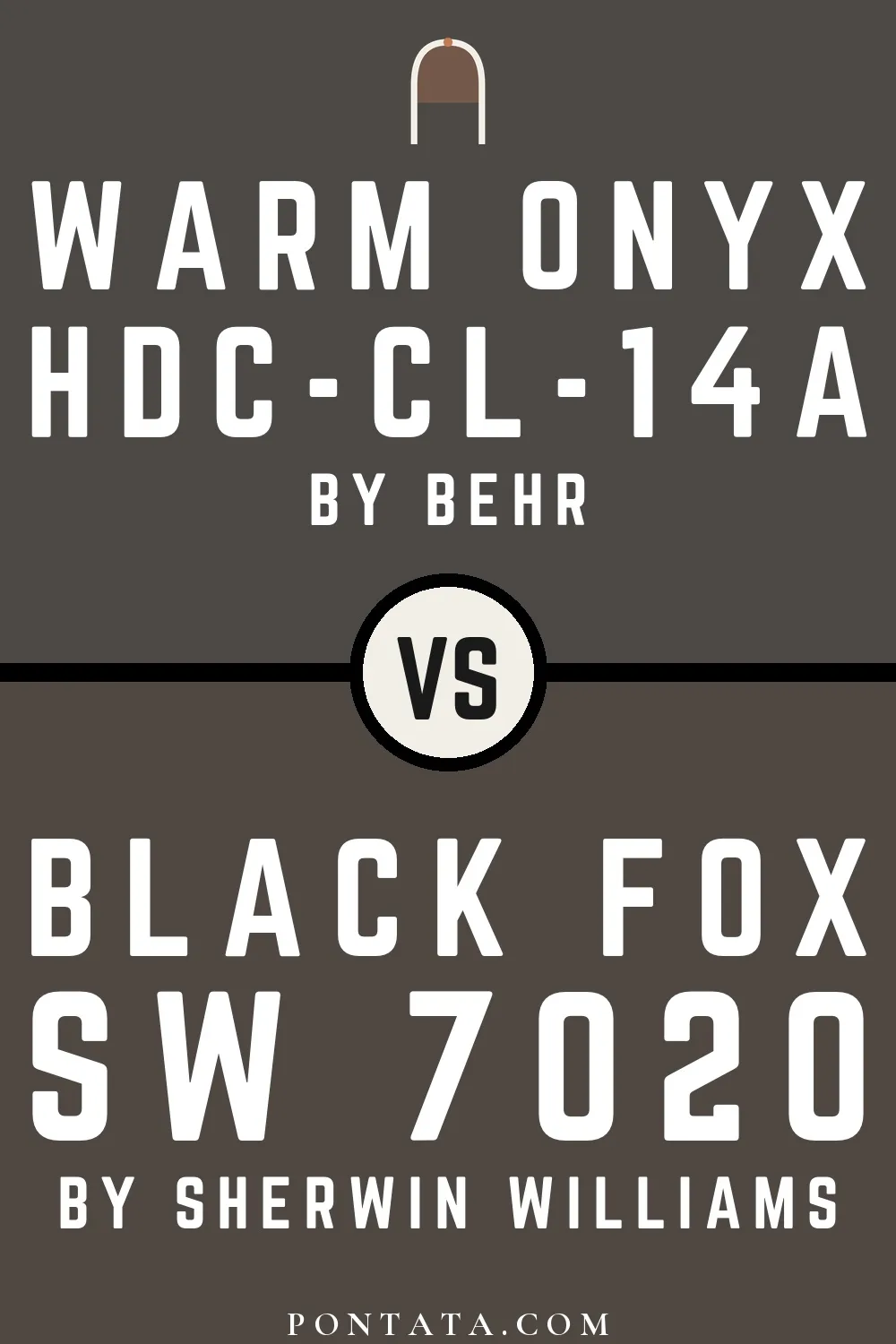 Warm Onyx vs Black Fox