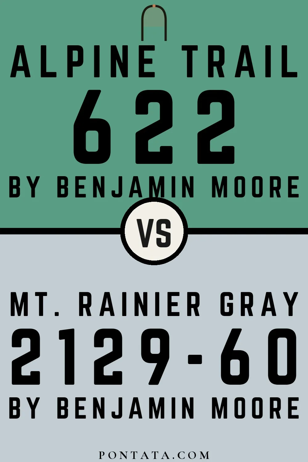 Alpine Trail vs Mt. Rainier Gray