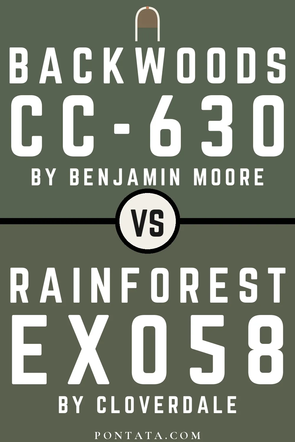 Backwoods vs Rainforest
