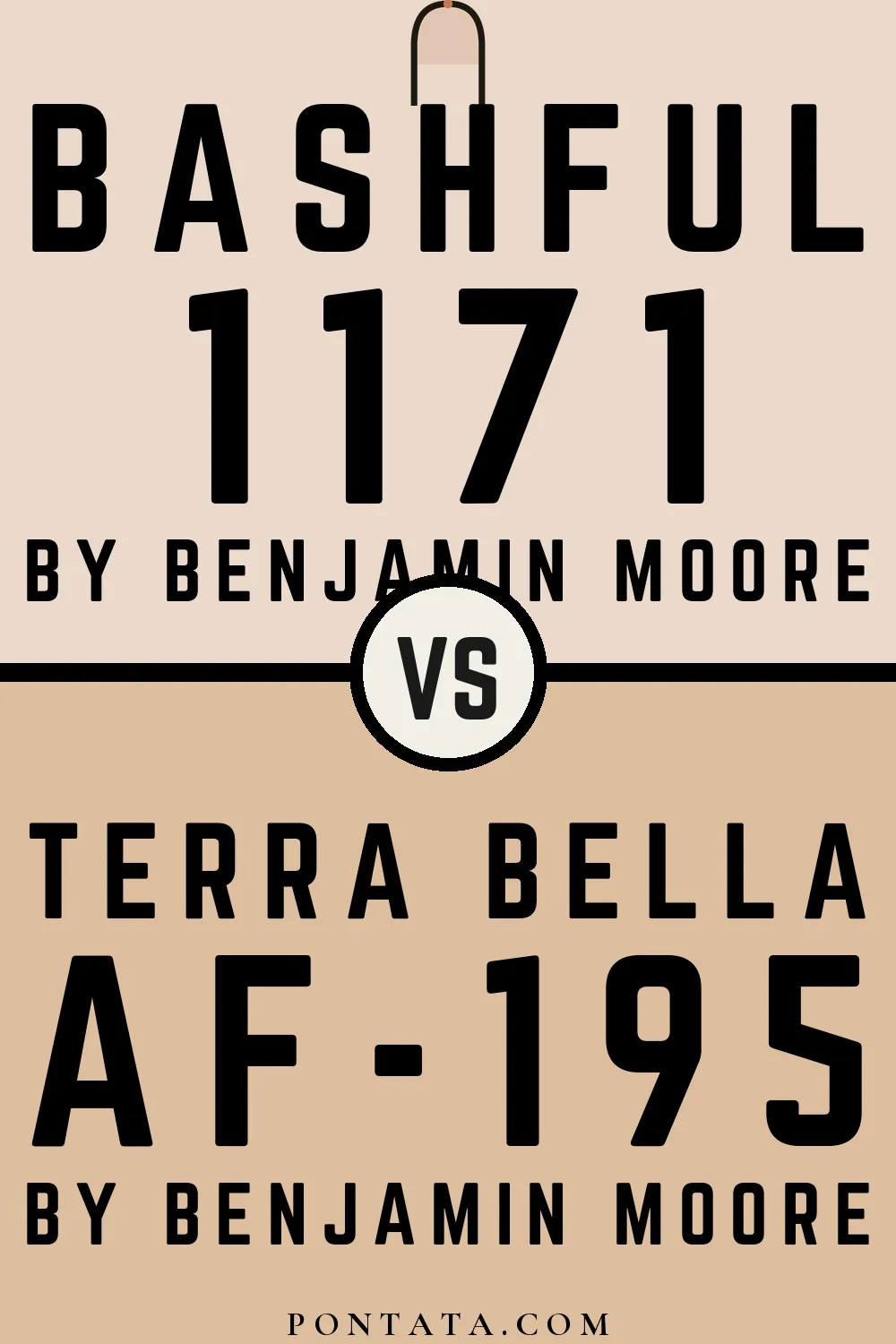 Bashful vs Terra Bella