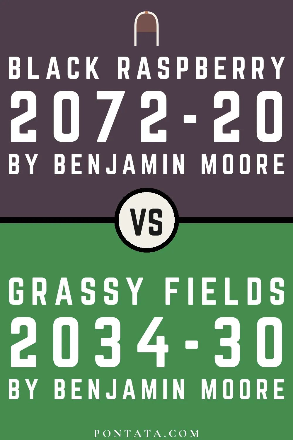 Black Raspberry vs Grassy Fields