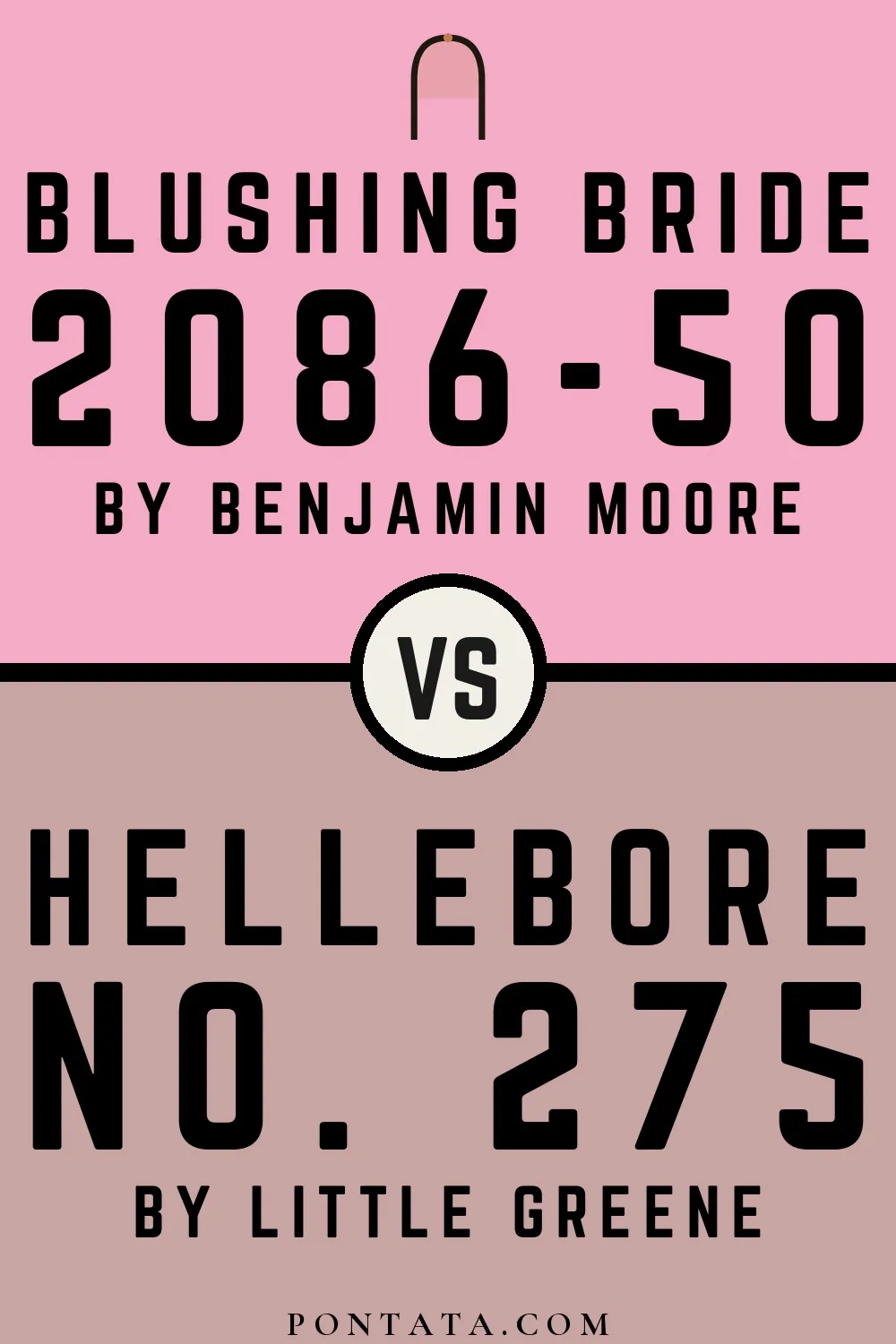 Blushing Bride vs Hellebore