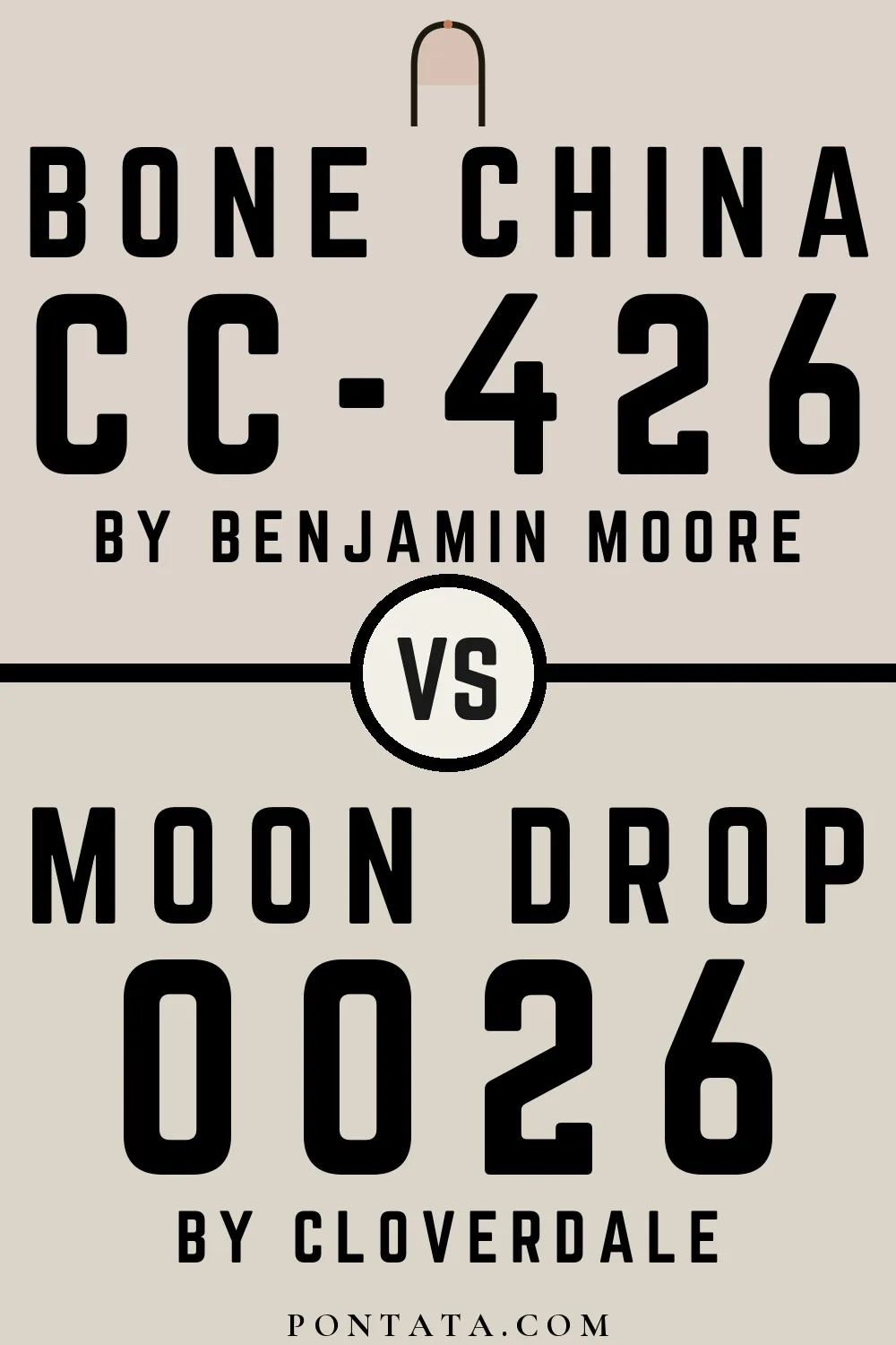 Bone China vs Moon Drop