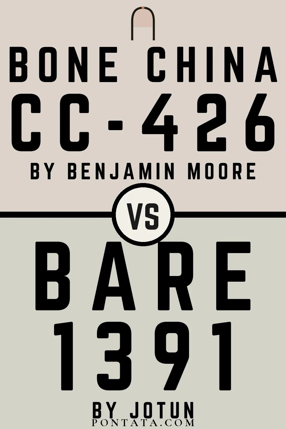 Bone China vs Bare