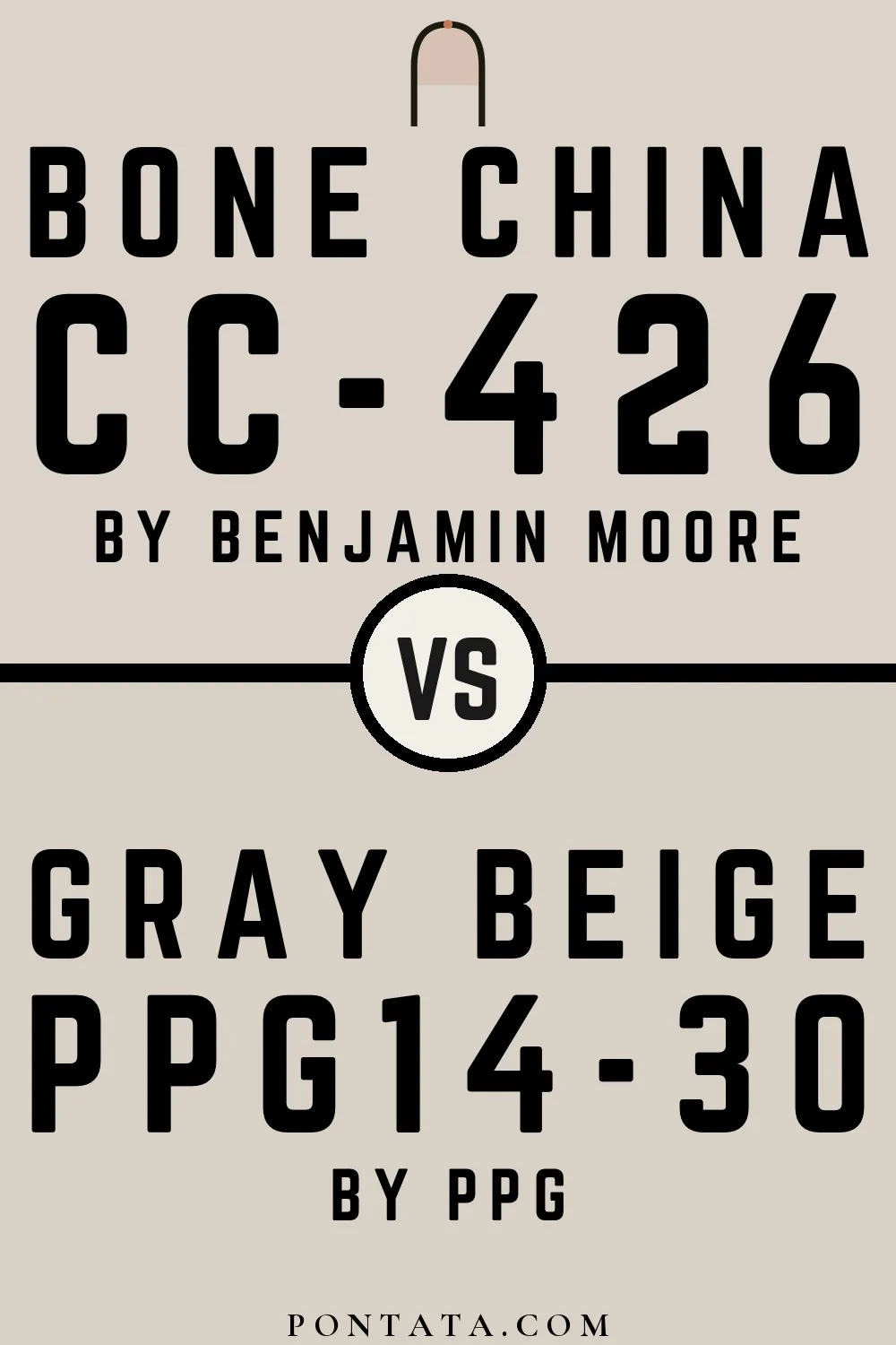Bone China vs Gray Beige