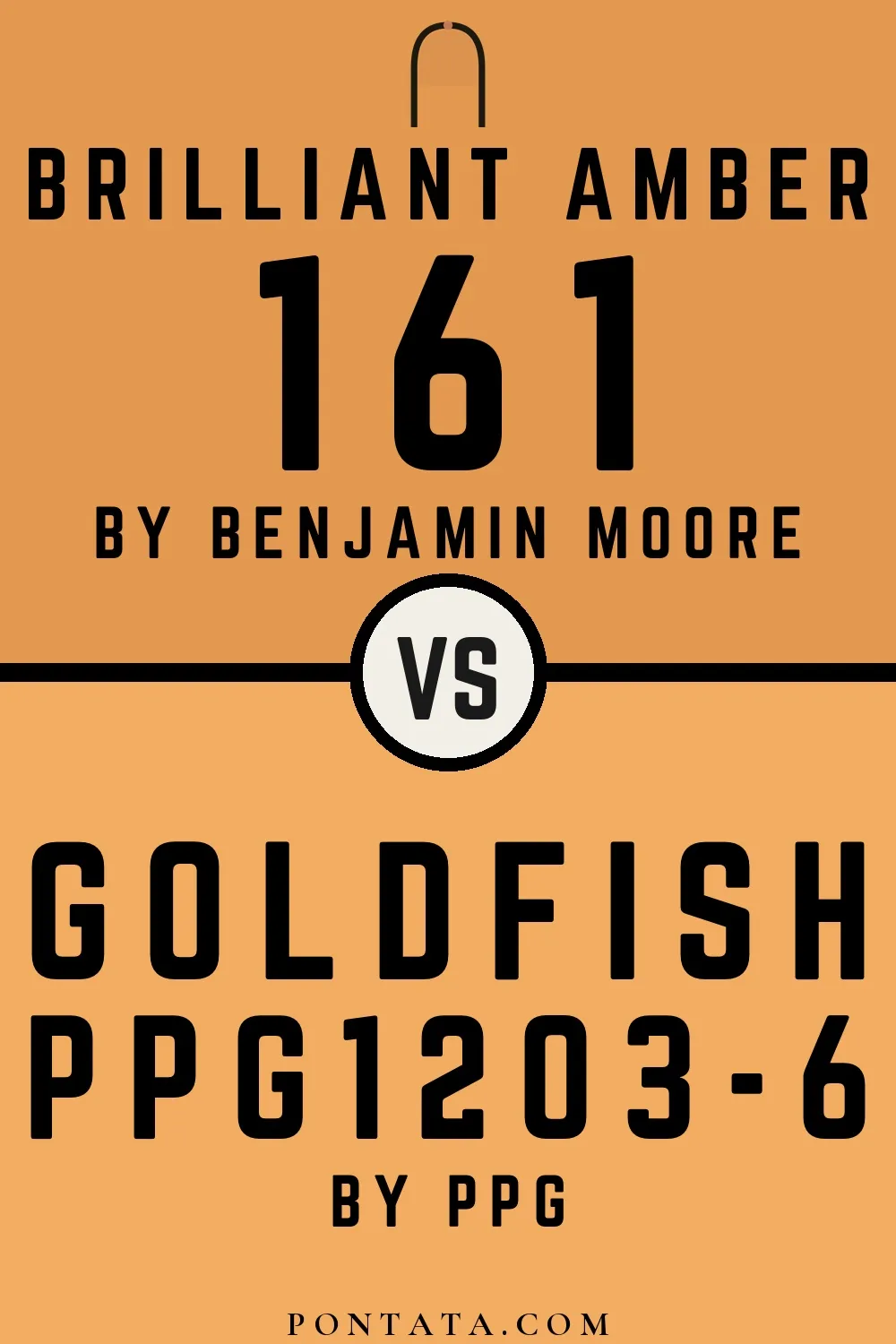Brilliant Amber vs Goldfish