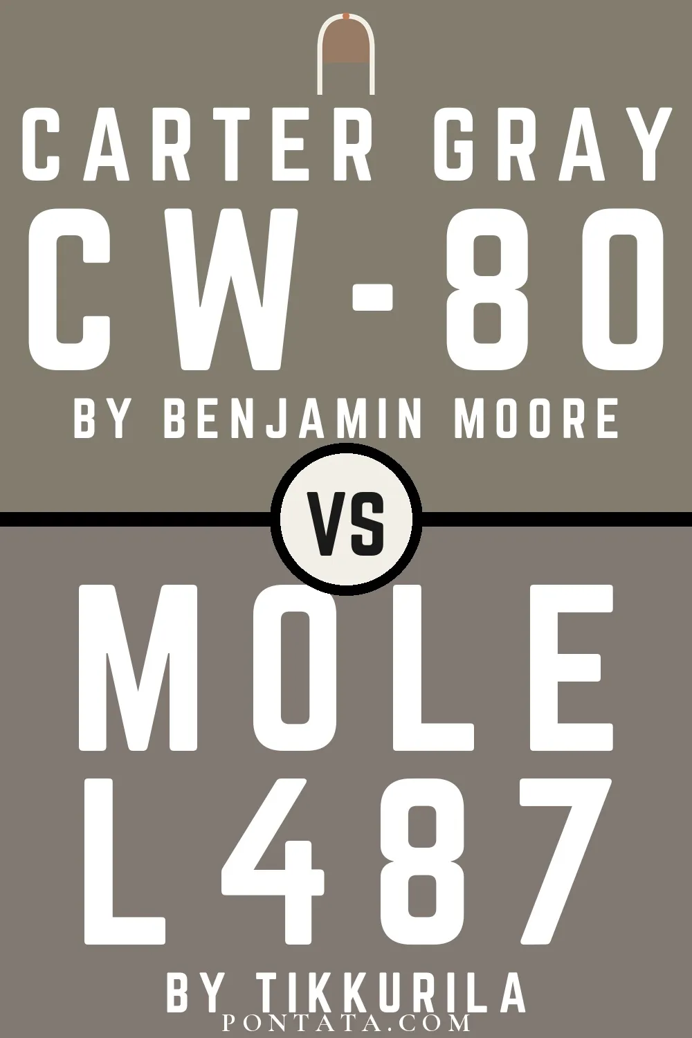 Carter Gray vs Mole