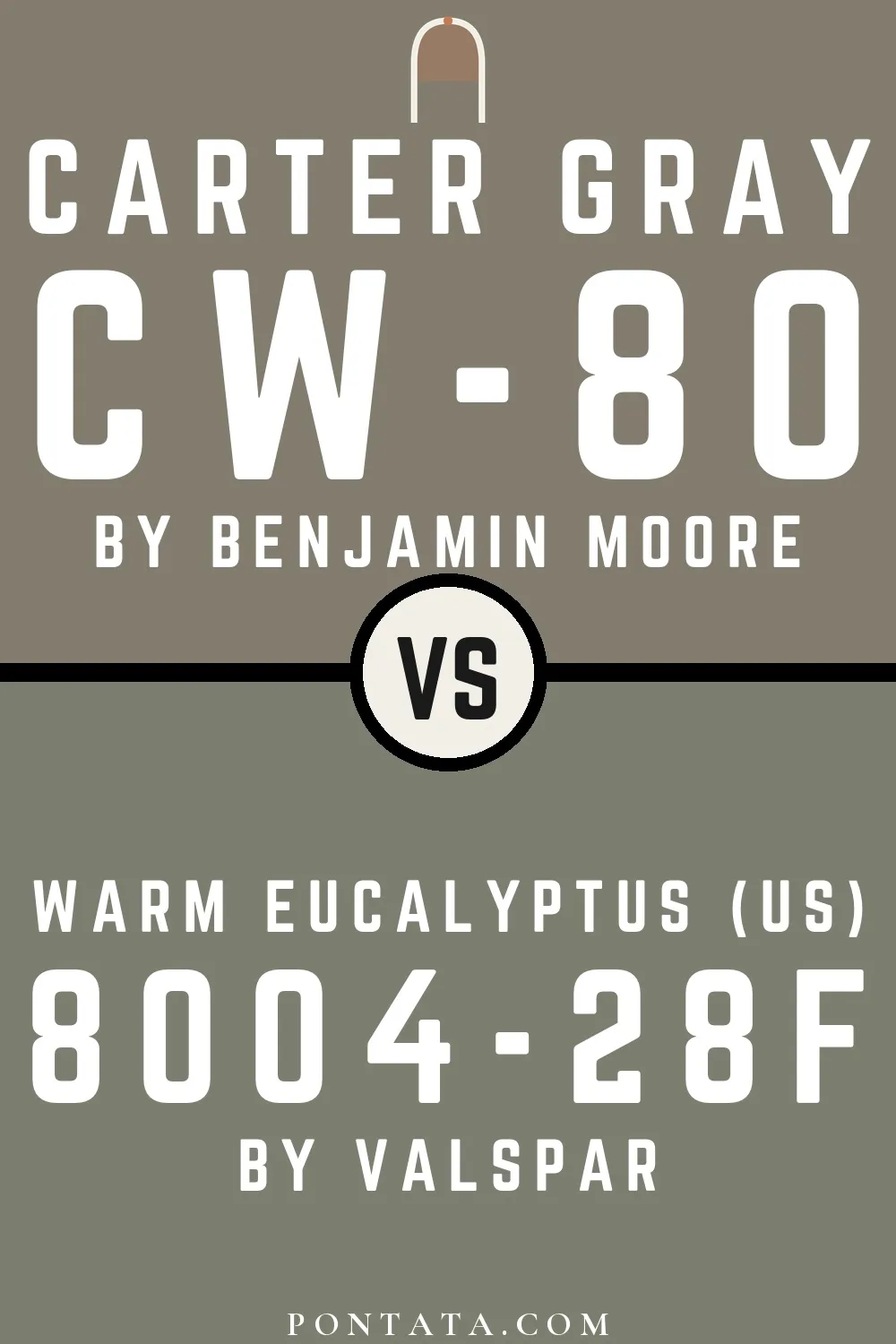 Carter Gray vs Warm Eucalyptus (US)
