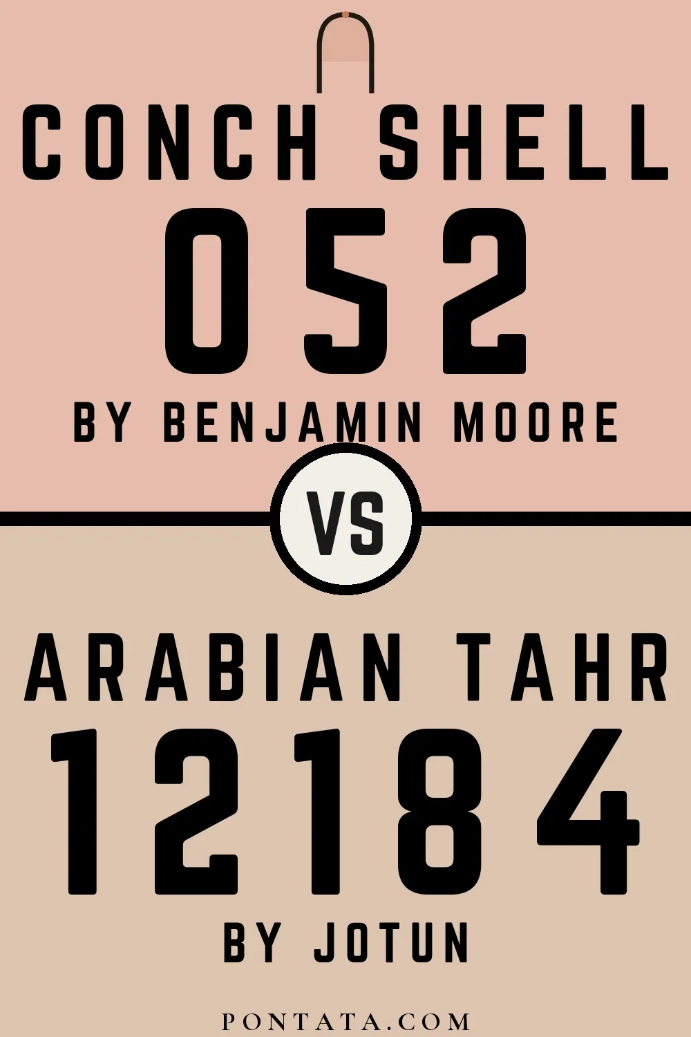 Conch Shell vs Arabian Tahr