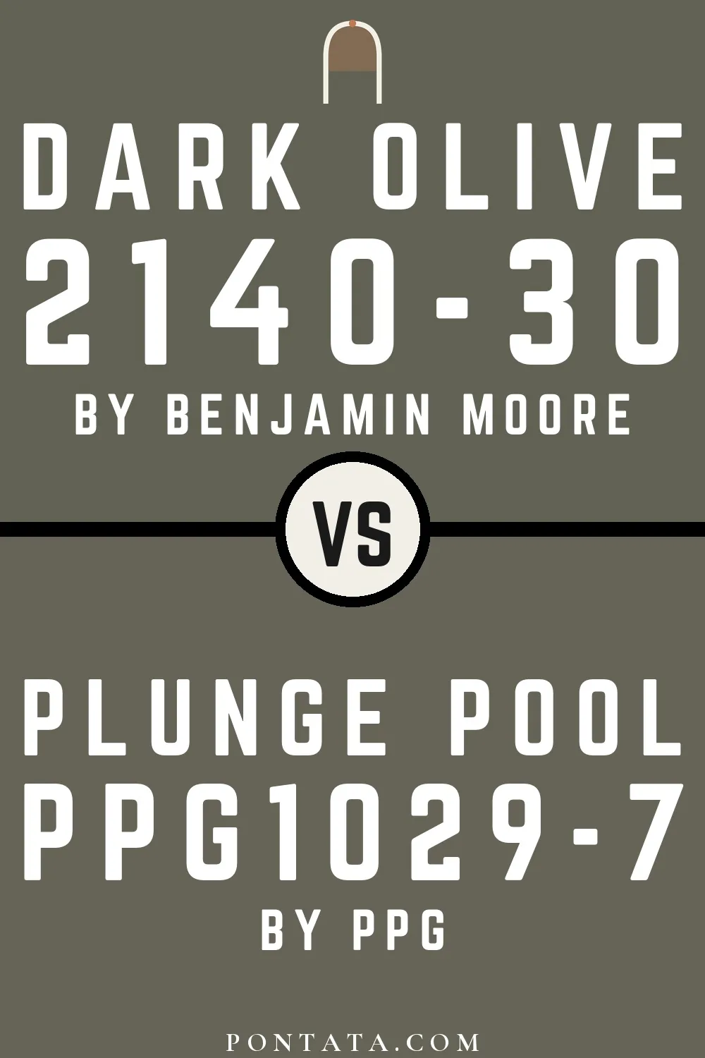 Dark Olive vs Plunge Pool