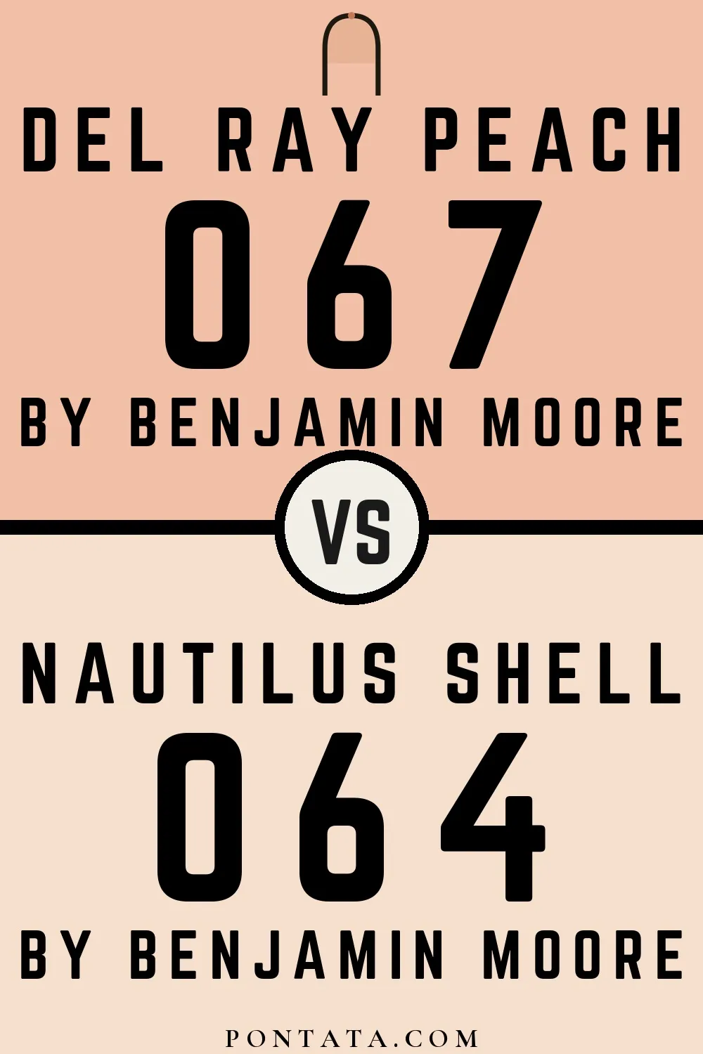 Del Ray Peach vs Nautilus Shell