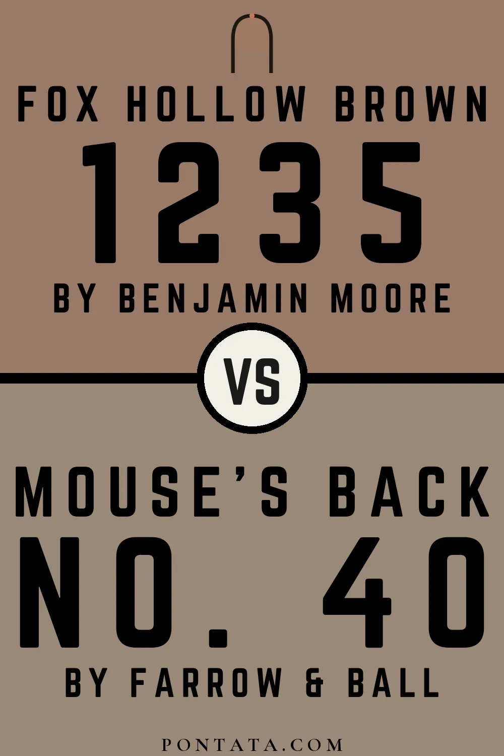 Fox Hollow Brown vs Mouse's Back