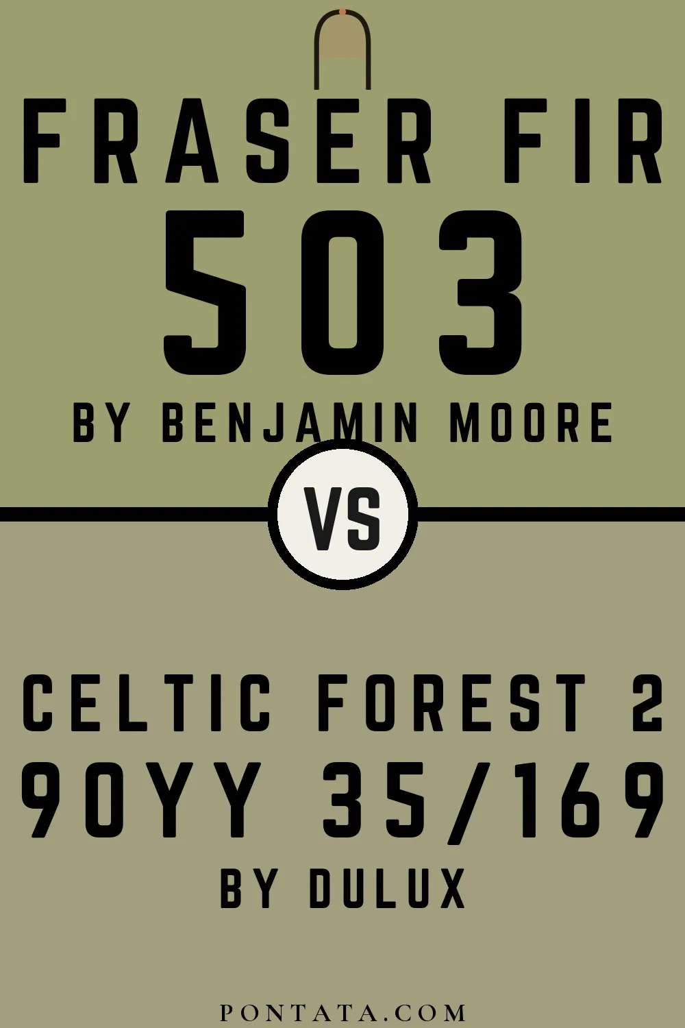 Fraser Fir vs Celtic Forest 2