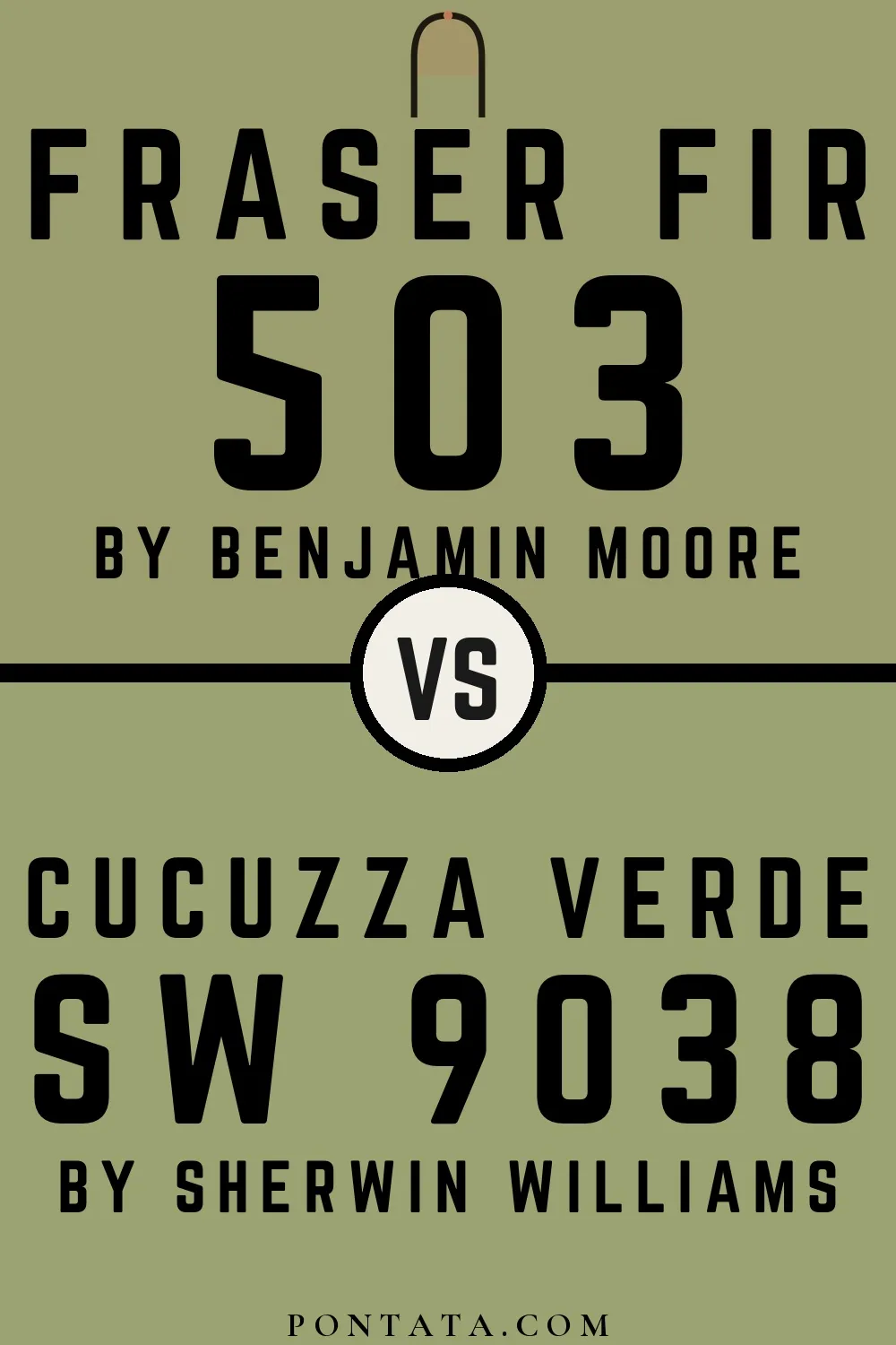 Fraser Fir vs Cucuzza Verde