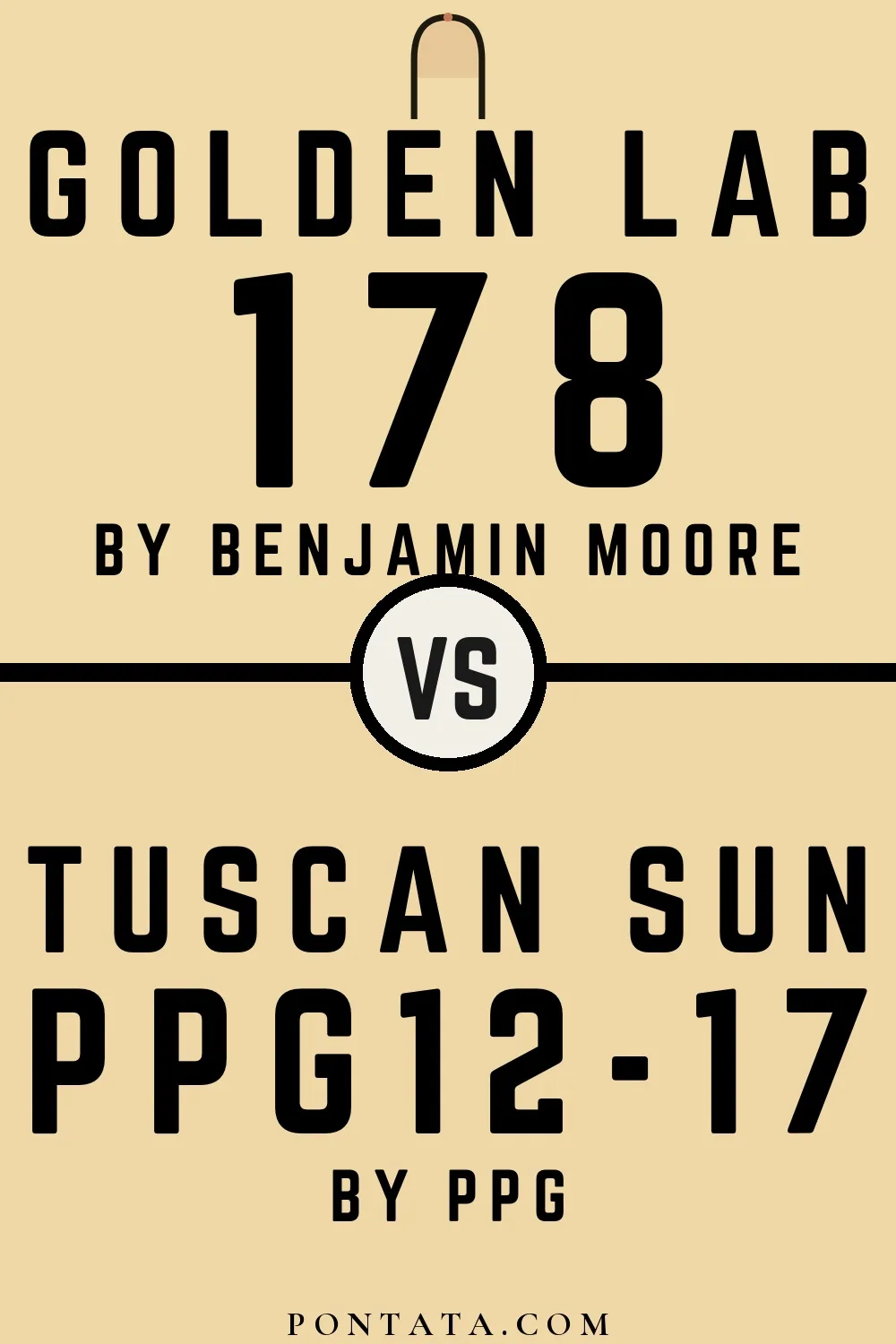 Golden Lab vs Tuscan Sun