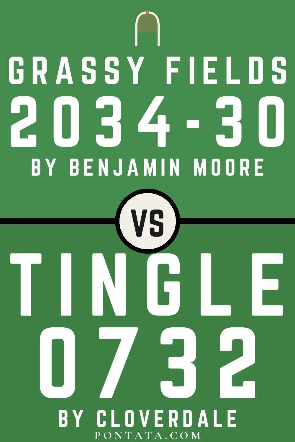 Grassy Fields vs Tingle