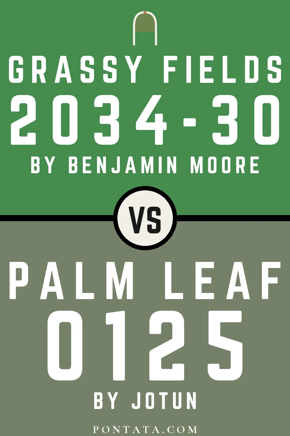 Grassy Fields vs Palm Leaf