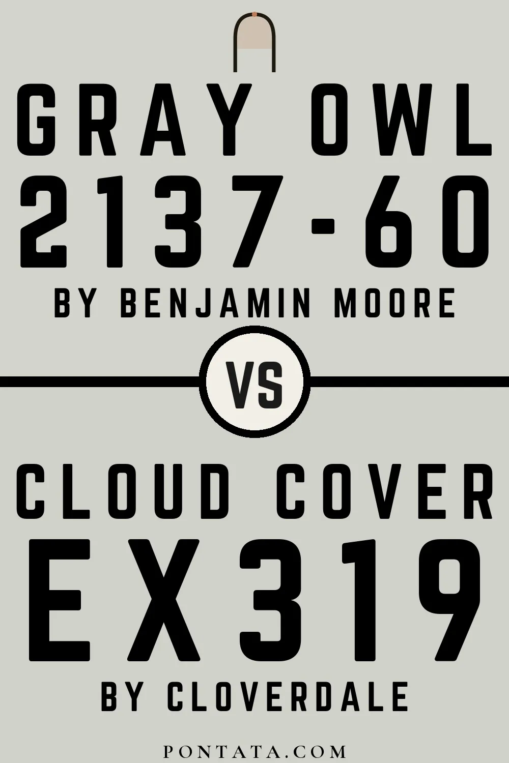 Gray Owl vs Cloud Cover
