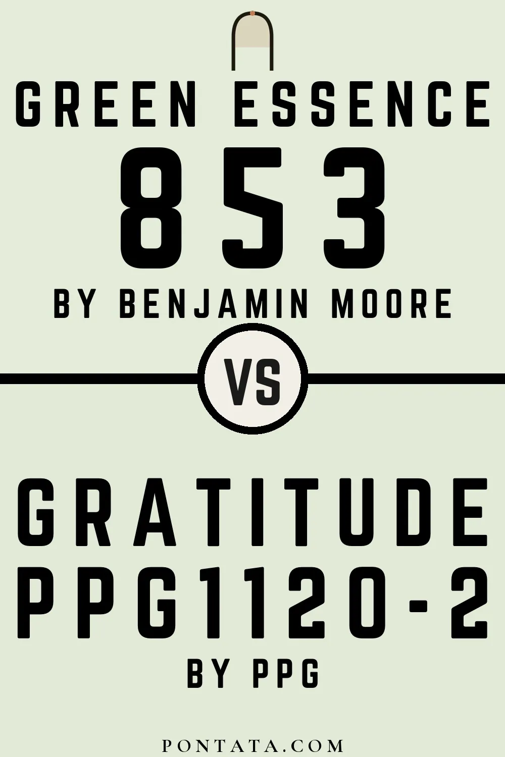 Green Essence vs Gratitude