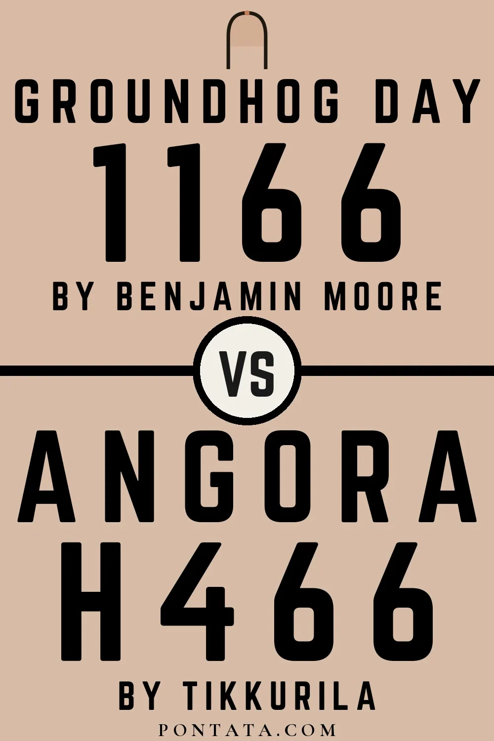 Groundhog Day vs Angora