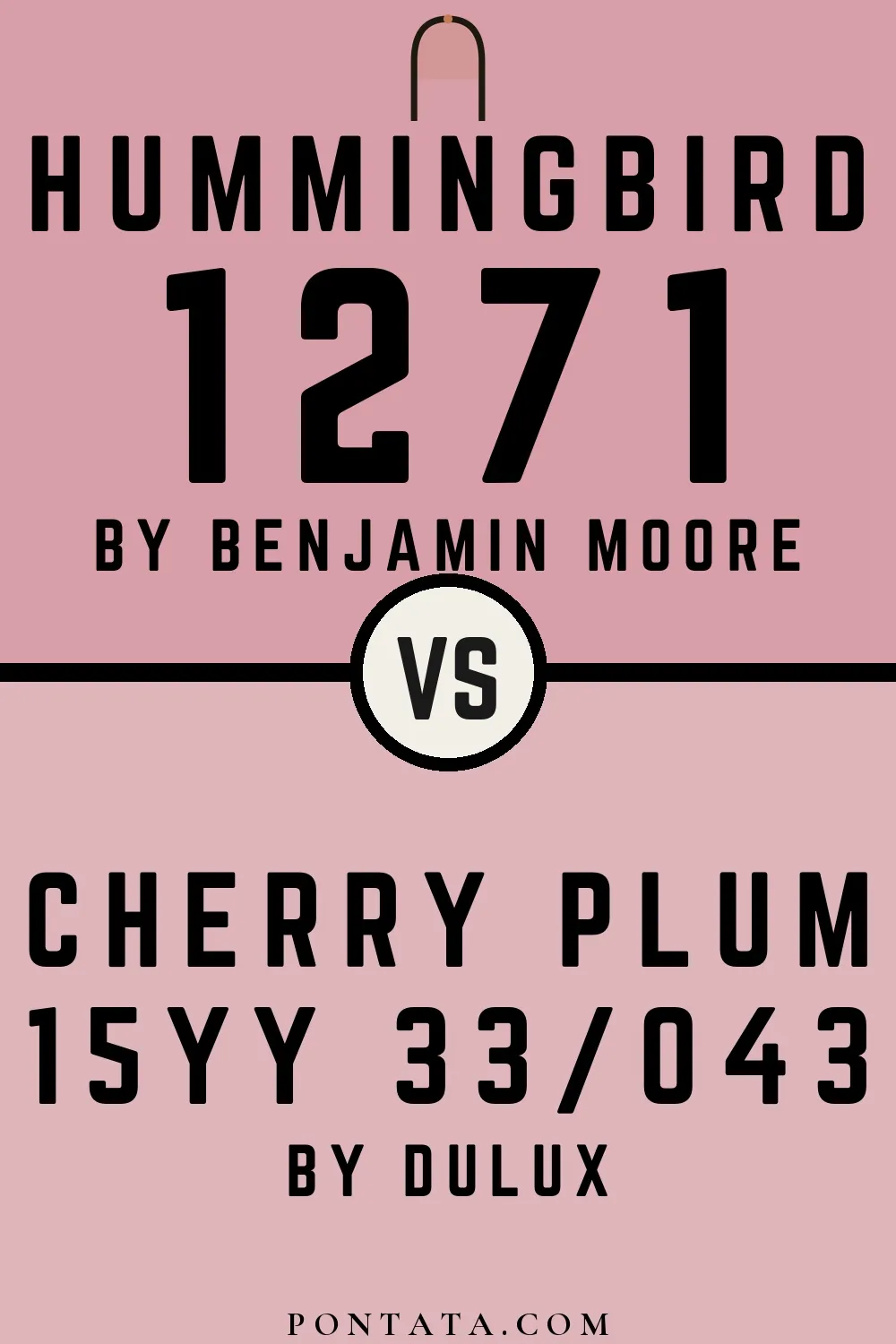 Hummingbird vs Cherry Plum