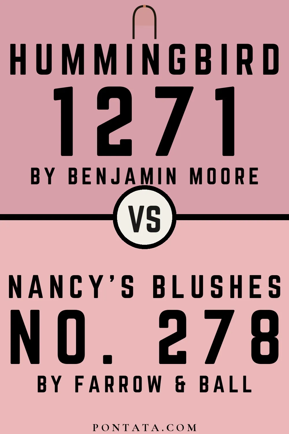 Hummingbird vs Nancy's Blushes