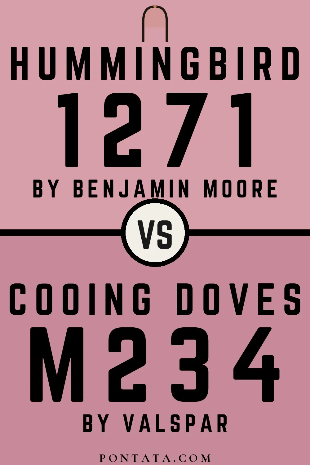 Hummingbird vs Cooing Doves