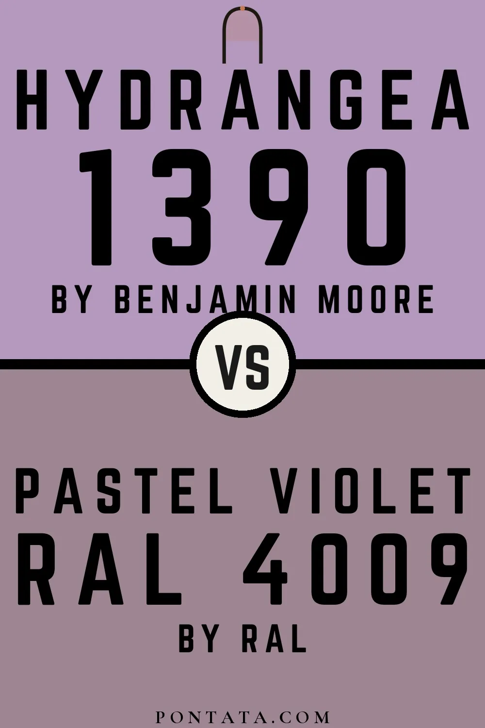 Hydrangea vs Pastel violet