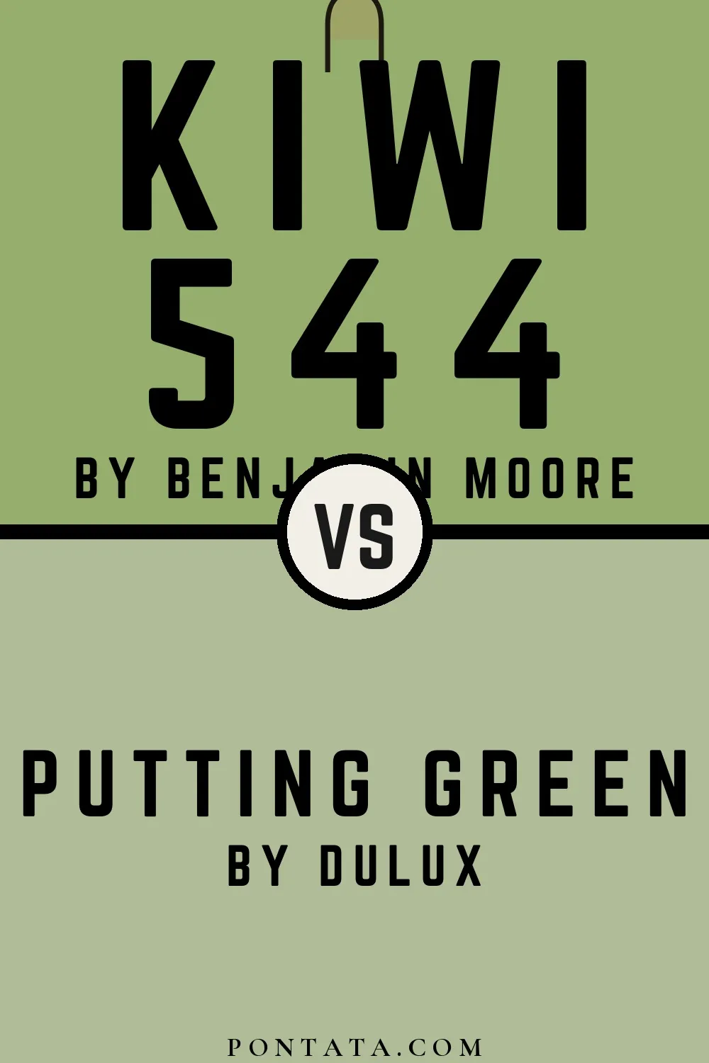 Kiwi vs Putting Green