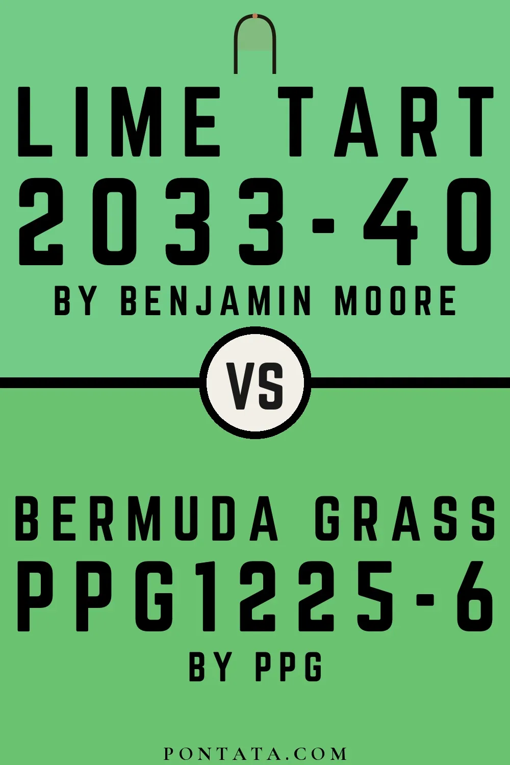 Lime Tart vs Bermuda Grass