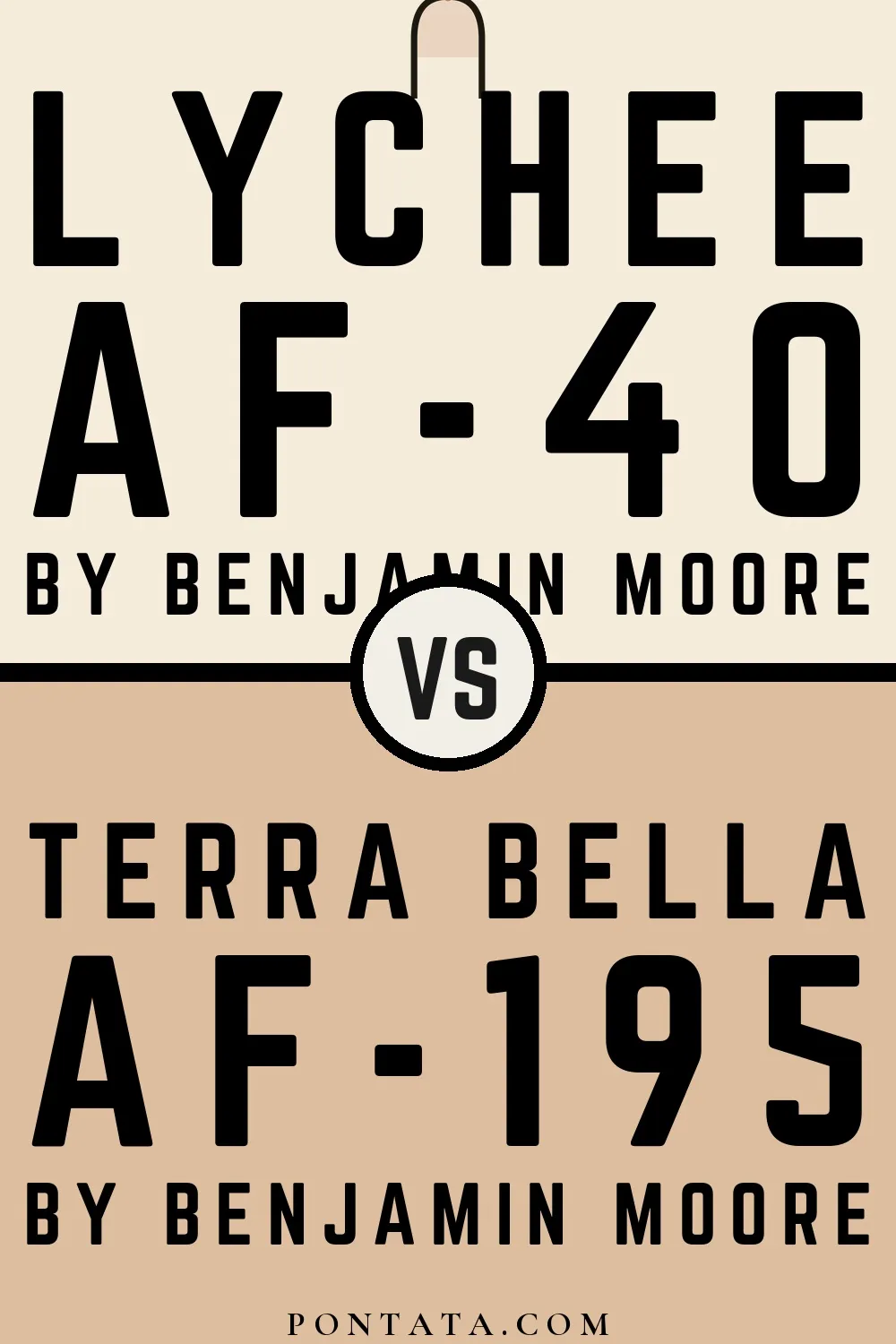 Lychee vs Terra Bella