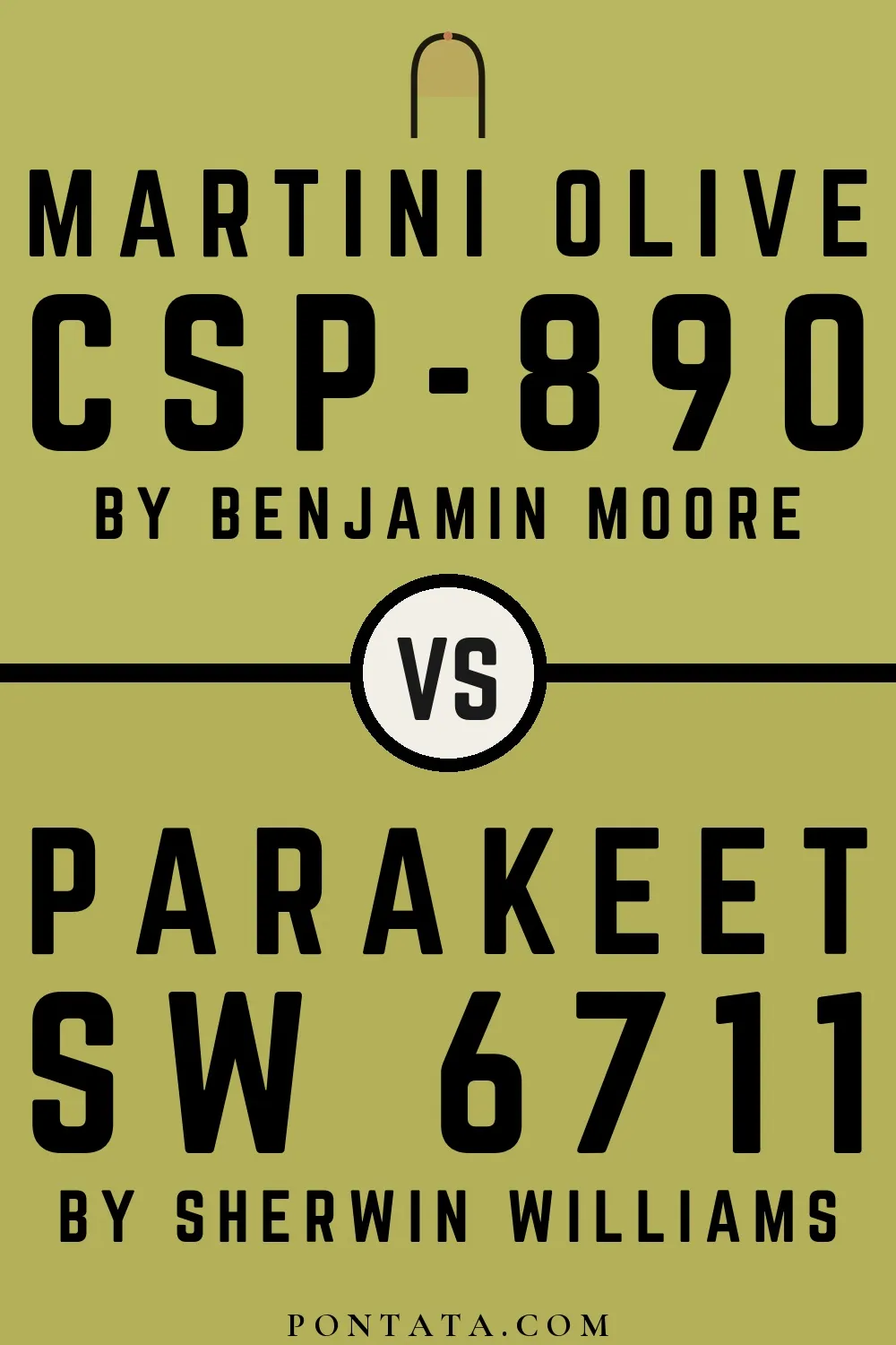 Martini Olive vs Parakeet