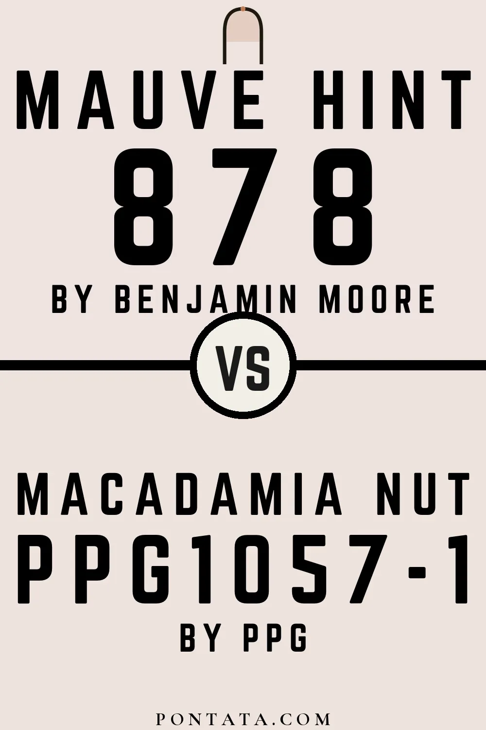 Mauve Hint vs Macadamia Nut