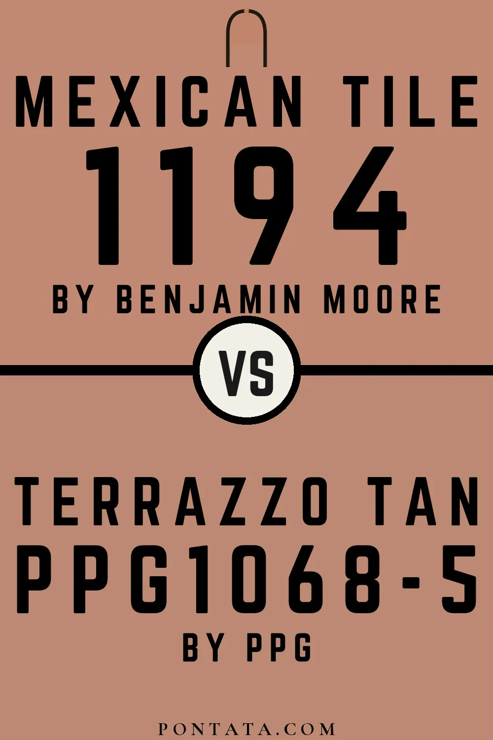 Mexican Tile vs Terrazzo Tan