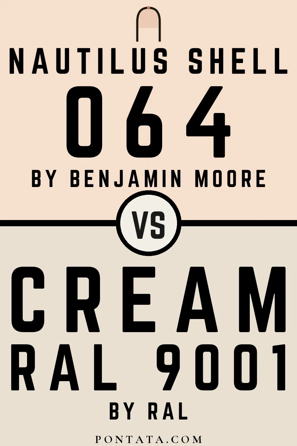 Nautilus Shell vs Cream